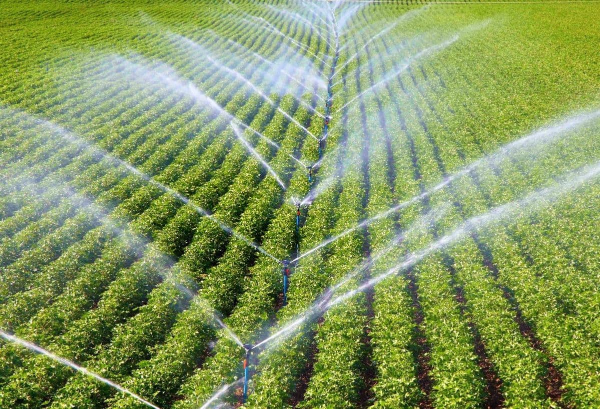 Agriculture & Irrigation