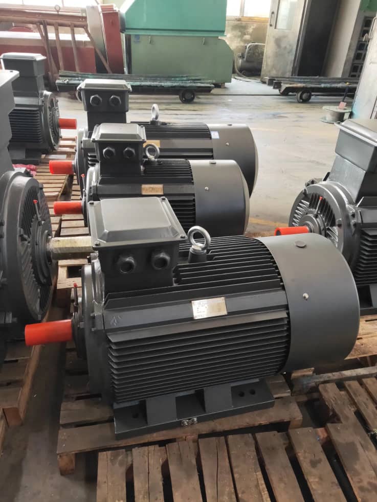 6 Pole Surface Motor