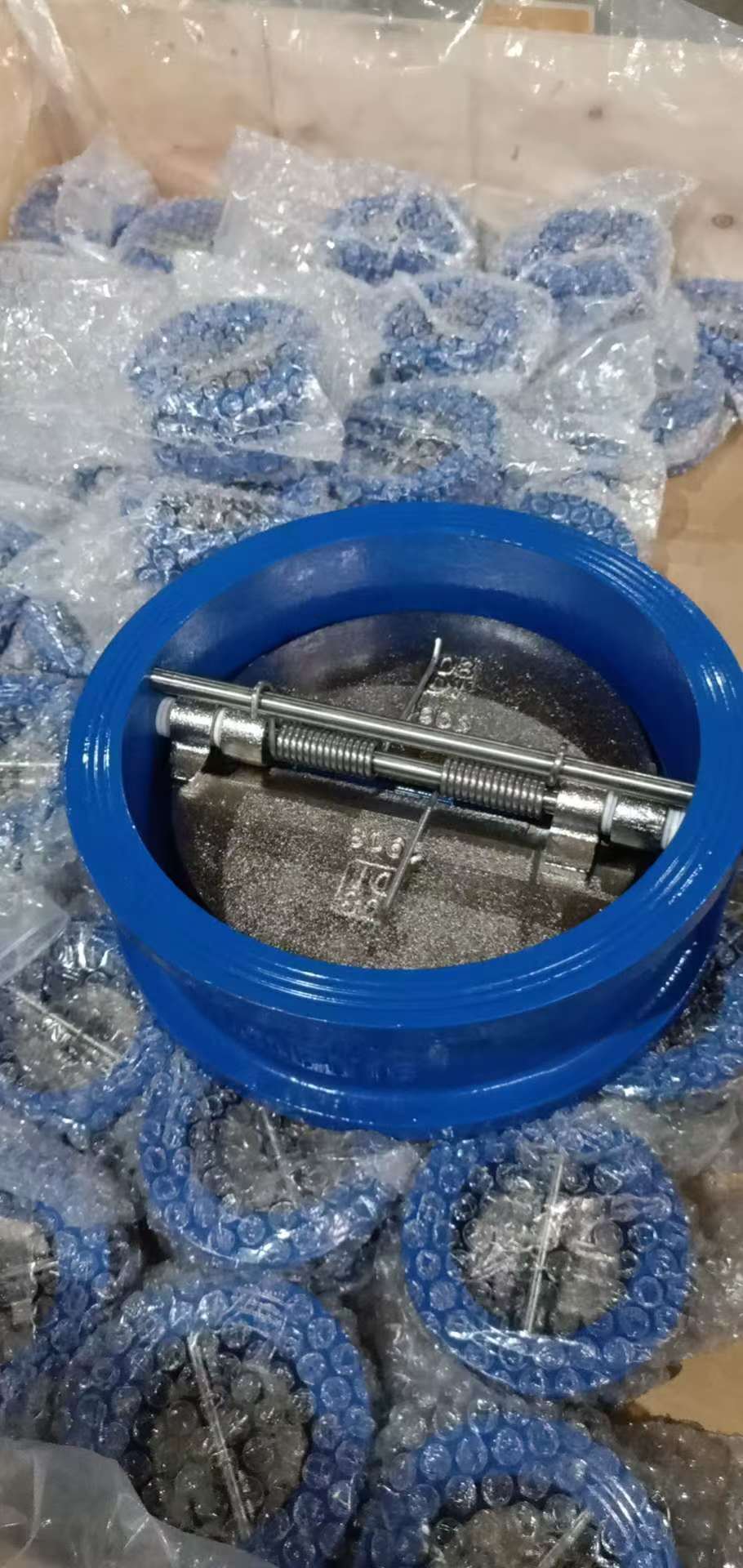 Check Valves
