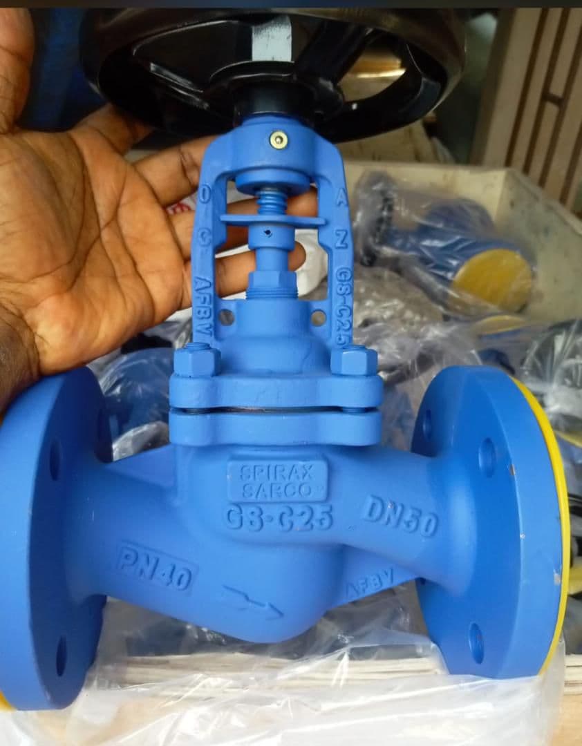 Globe Valves